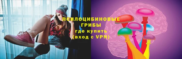 Альфа ПВП Дмитровск