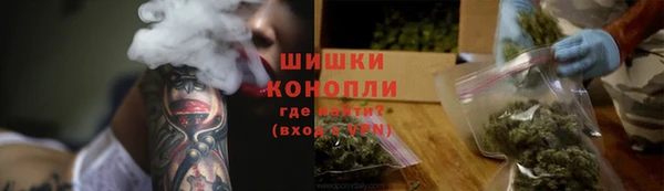твердый Дмитриев