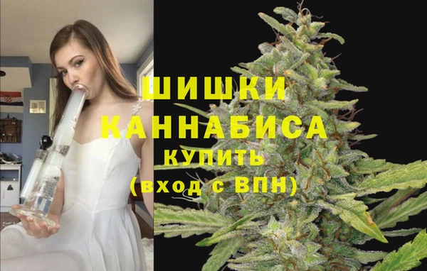 твердый Дмитриев