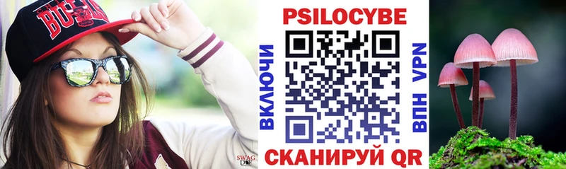 Галлюциногенные грибы мухоморы  закладка  Новошахтинск 